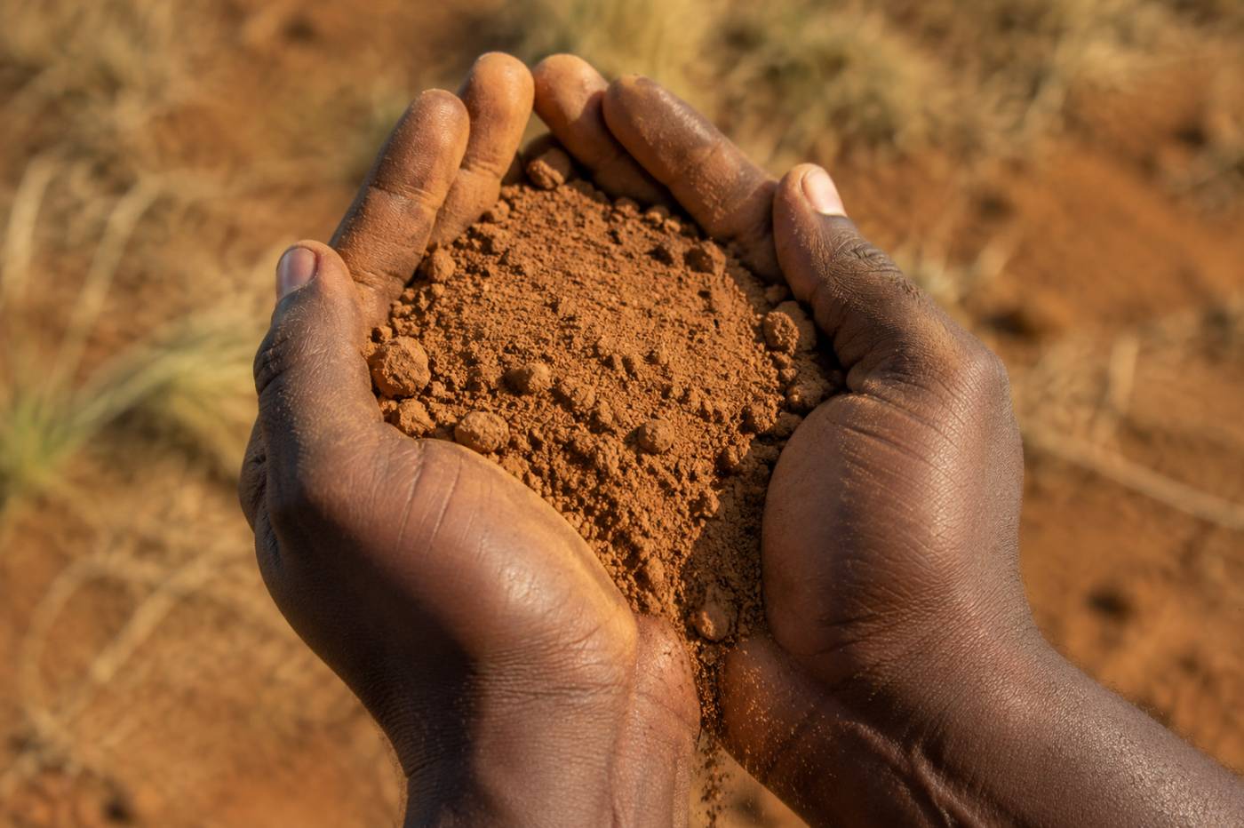 Hands holding soil above the basin